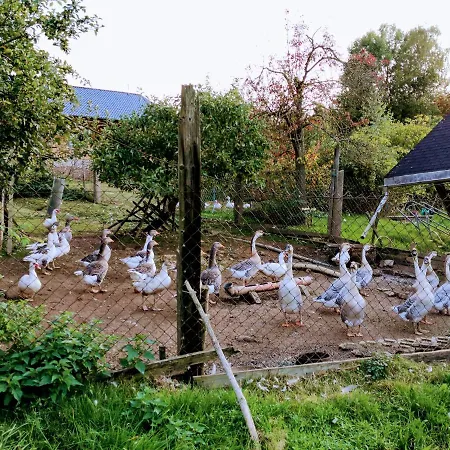 Pumphuts Scheune Nr 5 - 9 Beim Freizeitpark Plohn Appartement